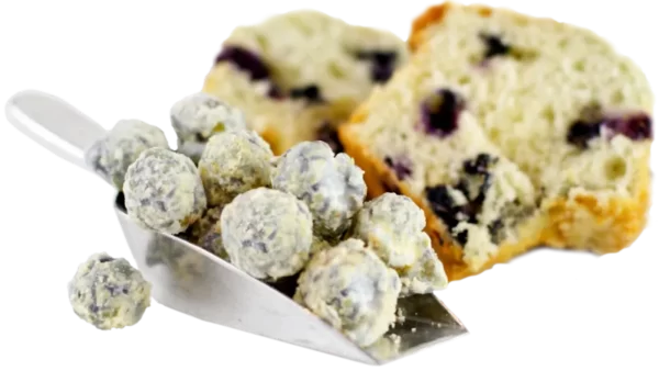 blueberry muffin